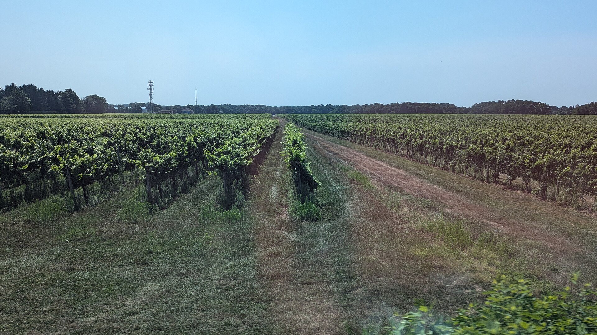 North Fork Wine Country